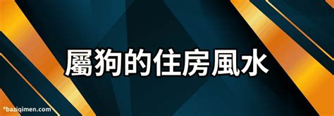 屬狗的床位|属狗最佳住房楼层和风水方位